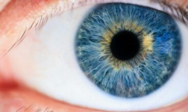 The Eye Dr Clinic