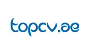 TopCV Professional CV Writing Service